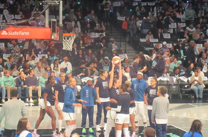 A packed WNBA arena during the 2024 Finals, illustrating queer visibility in the WNBA