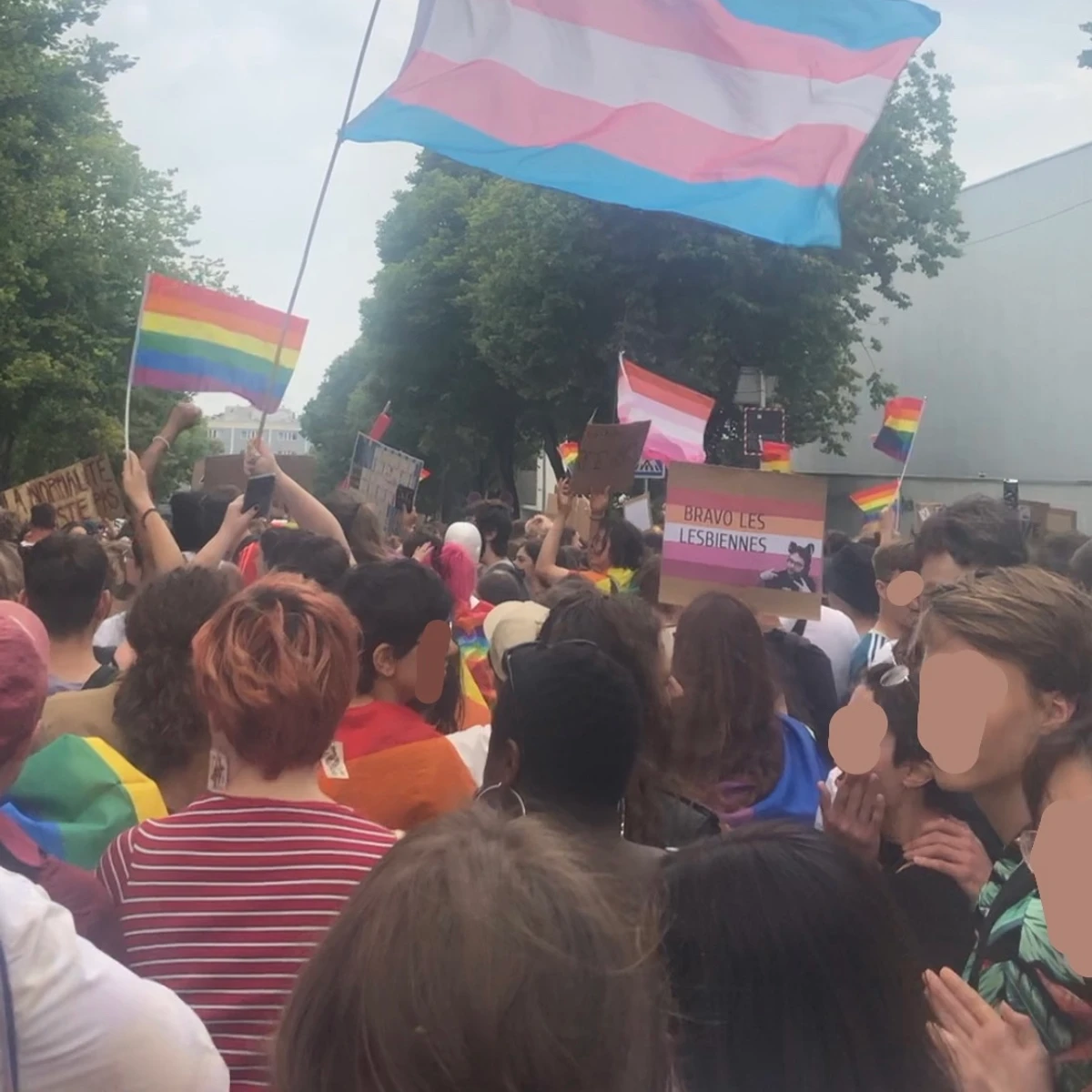 Where Trans and Queer Stories Are Thriving on Screen in 2026